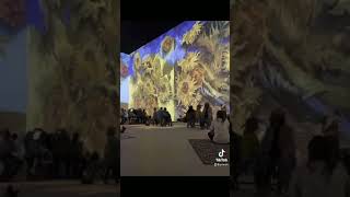 Van Gogh Immersive Experience Atlanta