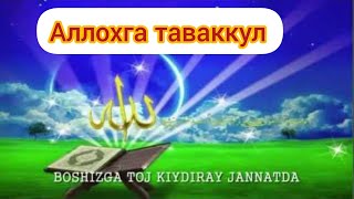 Кобил кори. Аллохга таваккул by Уммати Муҳаммад 797 views 3 years ago 21 minutes