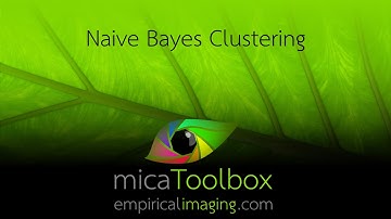 Naive Bayes Clustering of images in the micaToolbox
