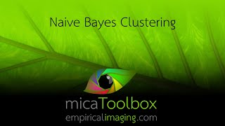 Celebrity Naive Bayes Clustering of images in the micaToolbox Profile