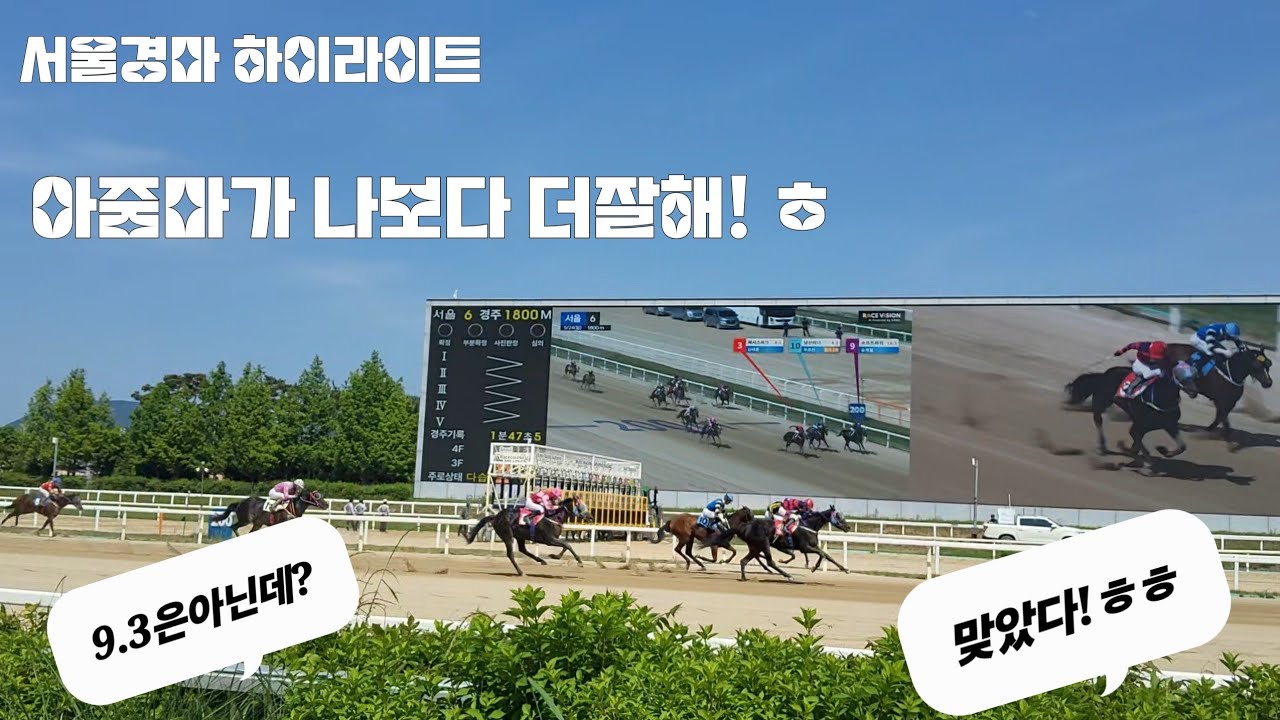 경마는 아줌마 부대를 못당합니다!