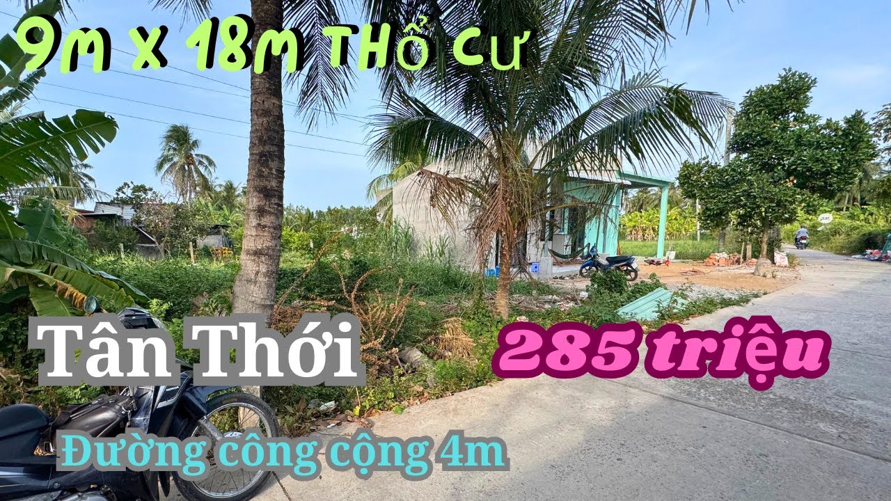 MS1980: 9M x 18M THỔ CƯ XÃ TÂN THỚI 