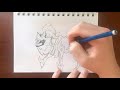 Zamazenta Time-Lapse Drawing