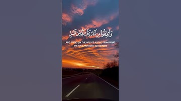 تلاوة من سورة فاطر