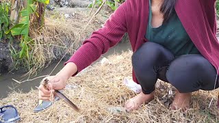 Cewek Cantik Mancing Belut Sampek Belepotan lumpur || Lady Angler || Mancing Belut || Mancing Cantik