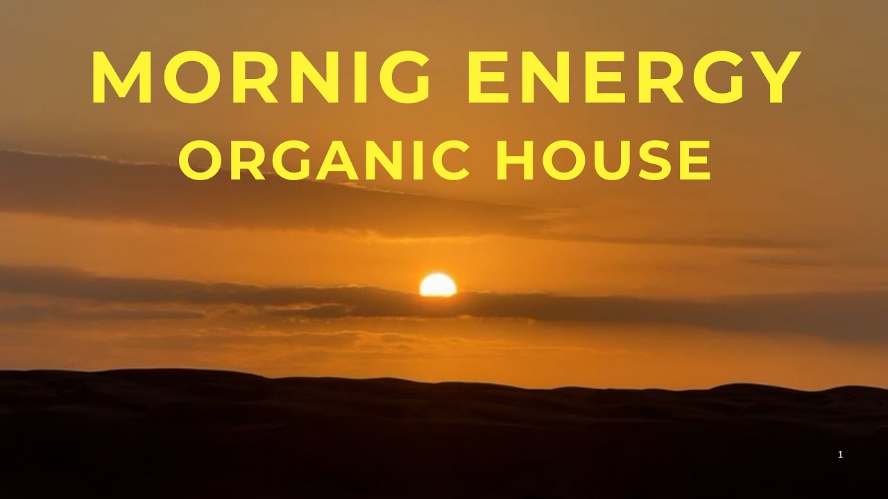 Wake Up Happy 2026 ☀️ Good Vibes & Organic House Mix to Start Your Day