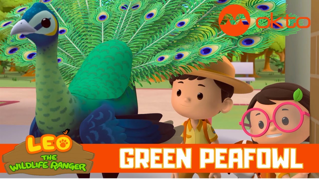 BIG BIRDS with EMERALD Green necks?! 🦚 | Leo the Wildlife Ranger