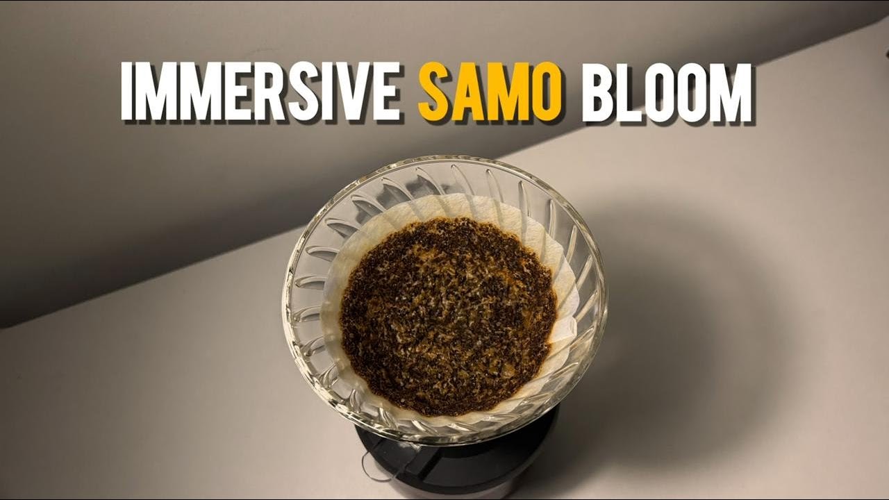 Immersive Samo Bloom: An Effortless Brewing Recipe for a Flavourful and Aromatic Cup - Hario Switch