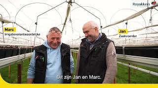 Fleur Jij Helemaal Op Door Planten En Tuinieren? Royakkers Zoekt Een Irrigatieverantwoordelijke