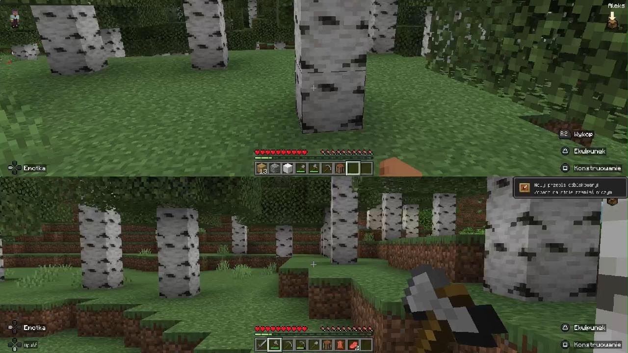 Minecraft Aleks i Mikołaj survival - YouTube