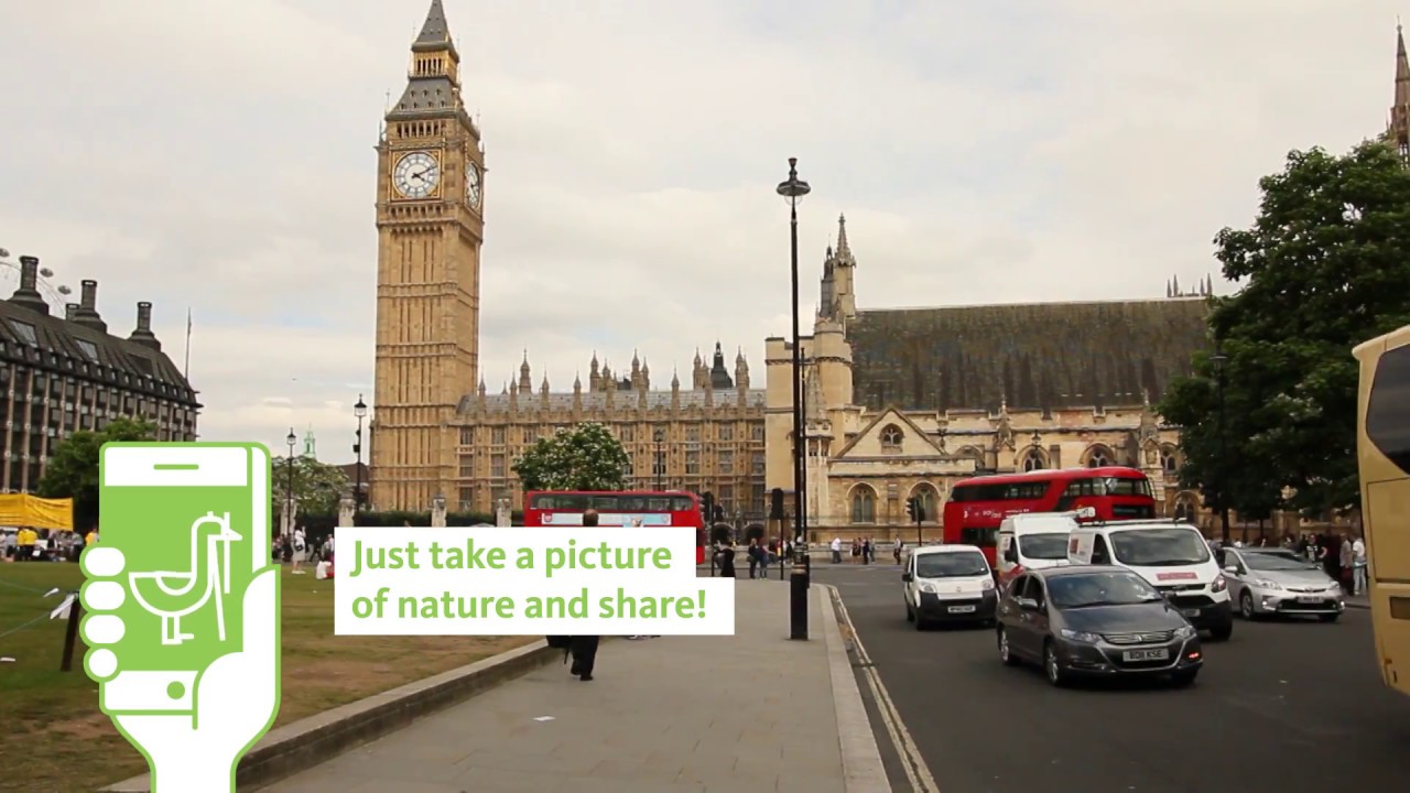 2018 City Nature Challenge LA County / Supervisor Sheila Kuehl