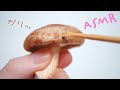ASMR キノコで耳かき