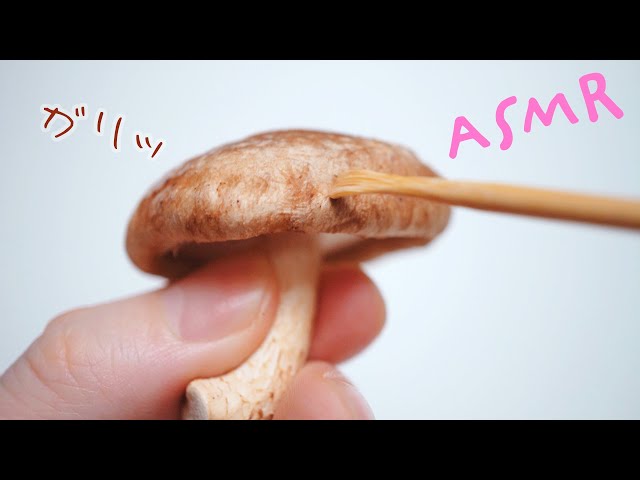 ASMR キノコで耳かき