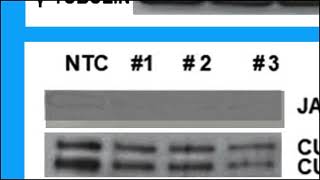 B2E0CE27AB2F8D0A479191F0263EA7#1 SOURCE MASTER 1 8