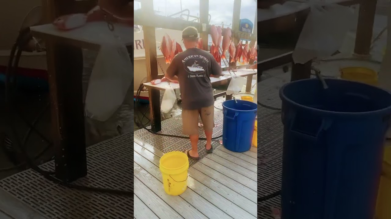 Fisherman Catching red snappers at Destin,Fl 
