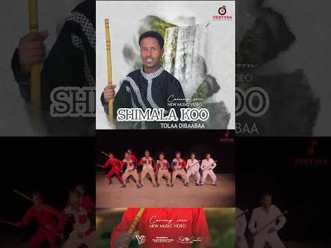 Tolaa Dibaabaa New Oromo Music Video SHIMAL KOO