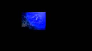 نشرة أخبار رأس الساعة .. الثانية ظهرآ ـ 28/02/2013