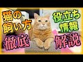 初めて猫を飼う方が知りたい情報全部入り