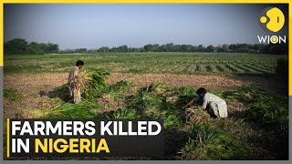 Information Nigeria: 13 Farmers Killed By Boko Haram Militants In Northeast Nigeria | WION Guide