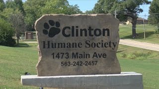 Clinton still without animal control partner
