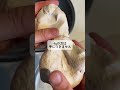 米粉パンのサイリウムの量と膨らみ方の違い!米粉成形パンのサイリウムの量は膨らみ仕上がりにどう影響するのかの実験! #米粉パン #米粉パン教室 #グルテンフリー