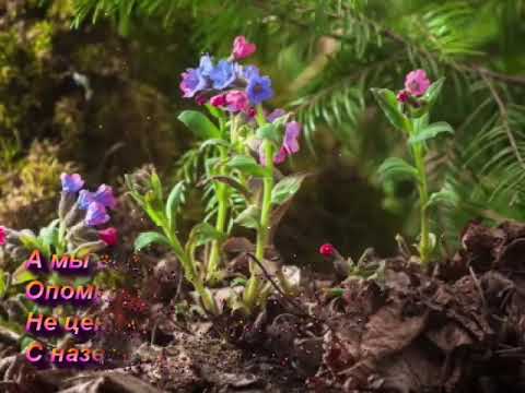 Жизнь как миг! #открытка #рекомендации #музыка #