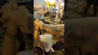 SUGBO MERCADO IT PARK CEBU CITY PHILIPPINES #shortvideo #haveitoldyoulatelythatiloveyou #nightlife