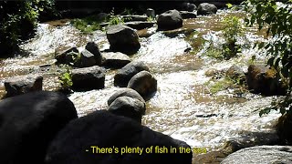 Download lagu Fish Song - Backeons (Lyric Video)