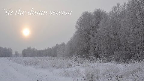 Taylor Swift - ‘tis the damn season (Spotify Canvas | Vertical Video)