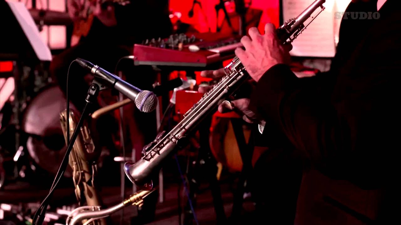 C'est Magnifique' - Baby et Lulu and Tim Rogers - STUDIO at the MEMO