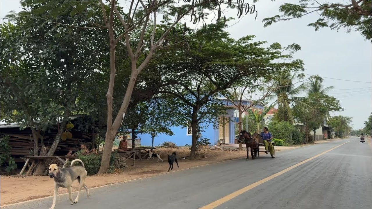 ទៅលេងខេត្តកំពង់ចាមវិលល្ងាច / One Day Trip To Kampong Cham Province, Cambodia 