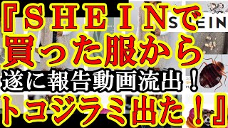 【遂に証明動画流出！『SHEINの服からトコジラミ出たぁ！』クリスマス商戦時期に何やってんだ！】強制労働にデザイン盗用疑惑の中国アパレルSHEINに今度は不衛生疑惑！どんだけ問題引き起こすんだぁ！