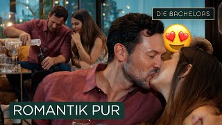 Ein Eigener Wein... Und Die Letzte Rose? I Die Bachelors