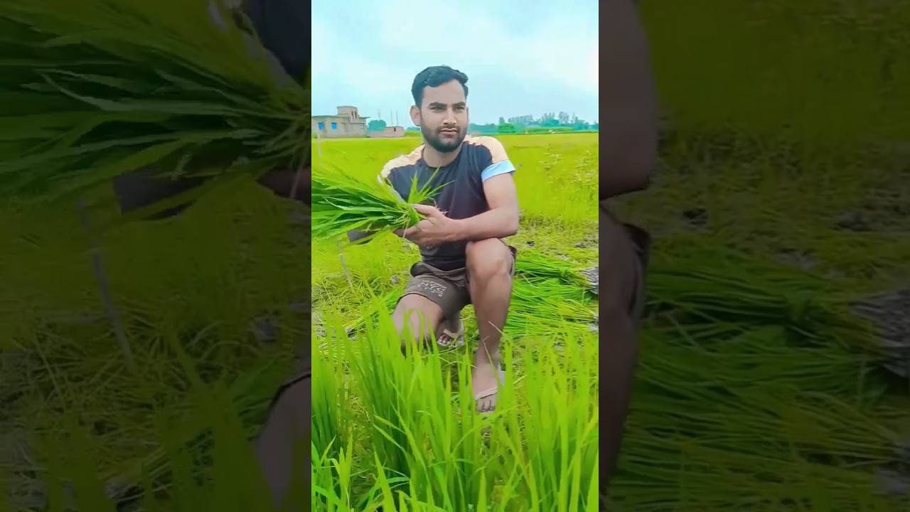 Pramod Mahi 🙏👌👍