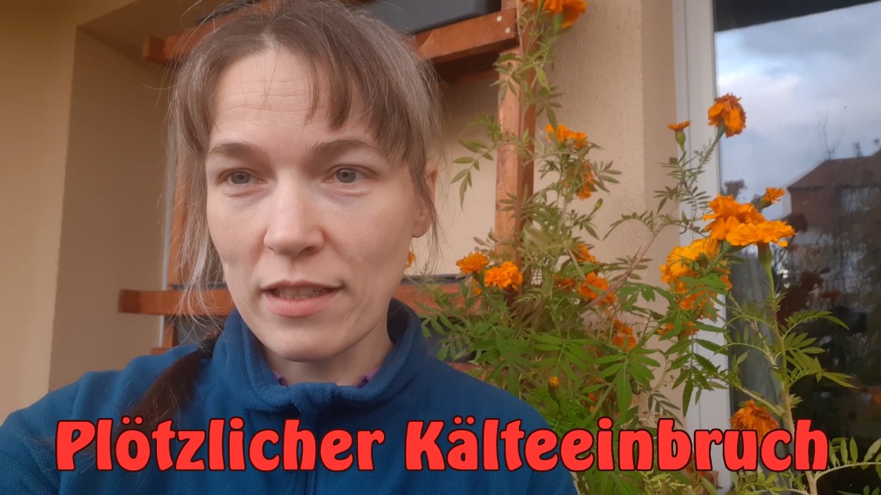 Letzte Balkon-Ernte, Kartoffel-Mutprobe und Superdünger - YouTube Letzte Balkon-Ernte, Kartoffel-Mutprobe und Superdünger - YouTube