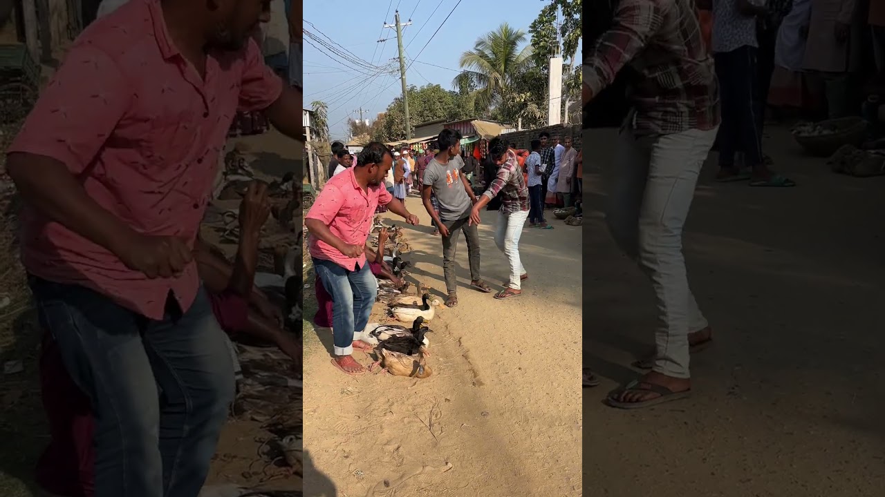 Утка затерялась в руке 😝 