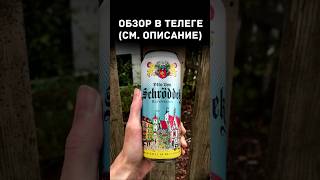 Ну и лето! В поисках лучшего пива #59 / Влог из глубинки (Август 2025) / #shorts