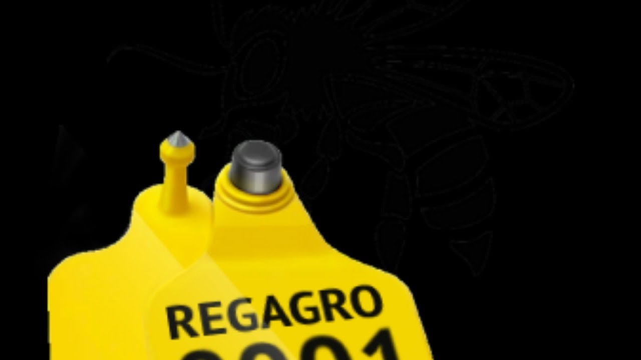 регагро регистрация животных. регагро бирки. регагро 45. регагро.