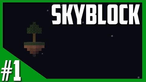 Skyblock: Episode 1 - "Double Cobblestone Generator" w/ MrTbon123 (1.7.10)