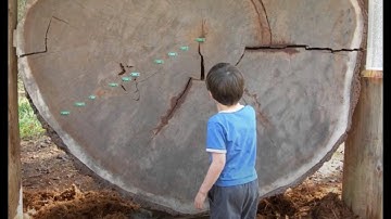 Concepts and Problems in the Visual Arts, Lecture H26: History of first-year art instruction