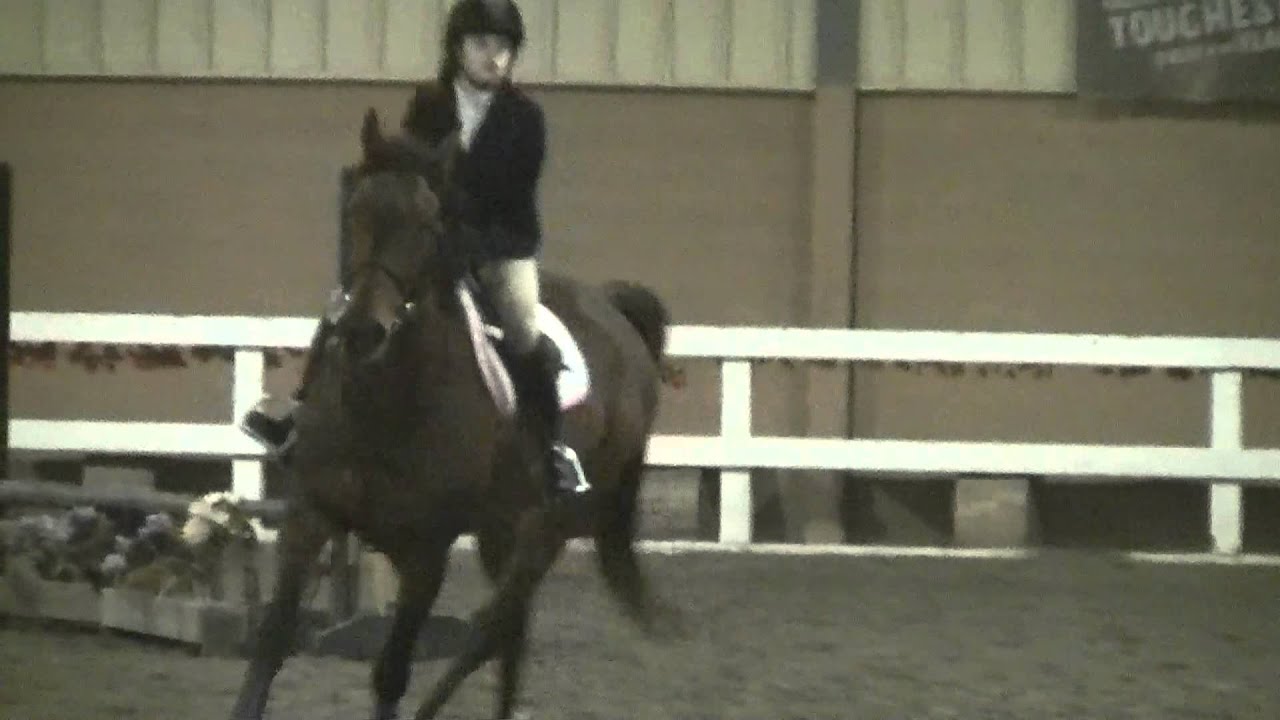 North Jersey Equestrian Center Show 11/17/2013 YouTube