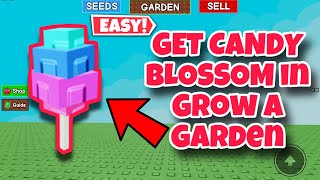 How To GET CANDY BLOSSOM in Grow A Garden Roblox App (New Update) Event  screenshot 5
