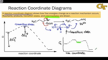 04.02 Reaction Coordinate Diagrams and Stability Trends