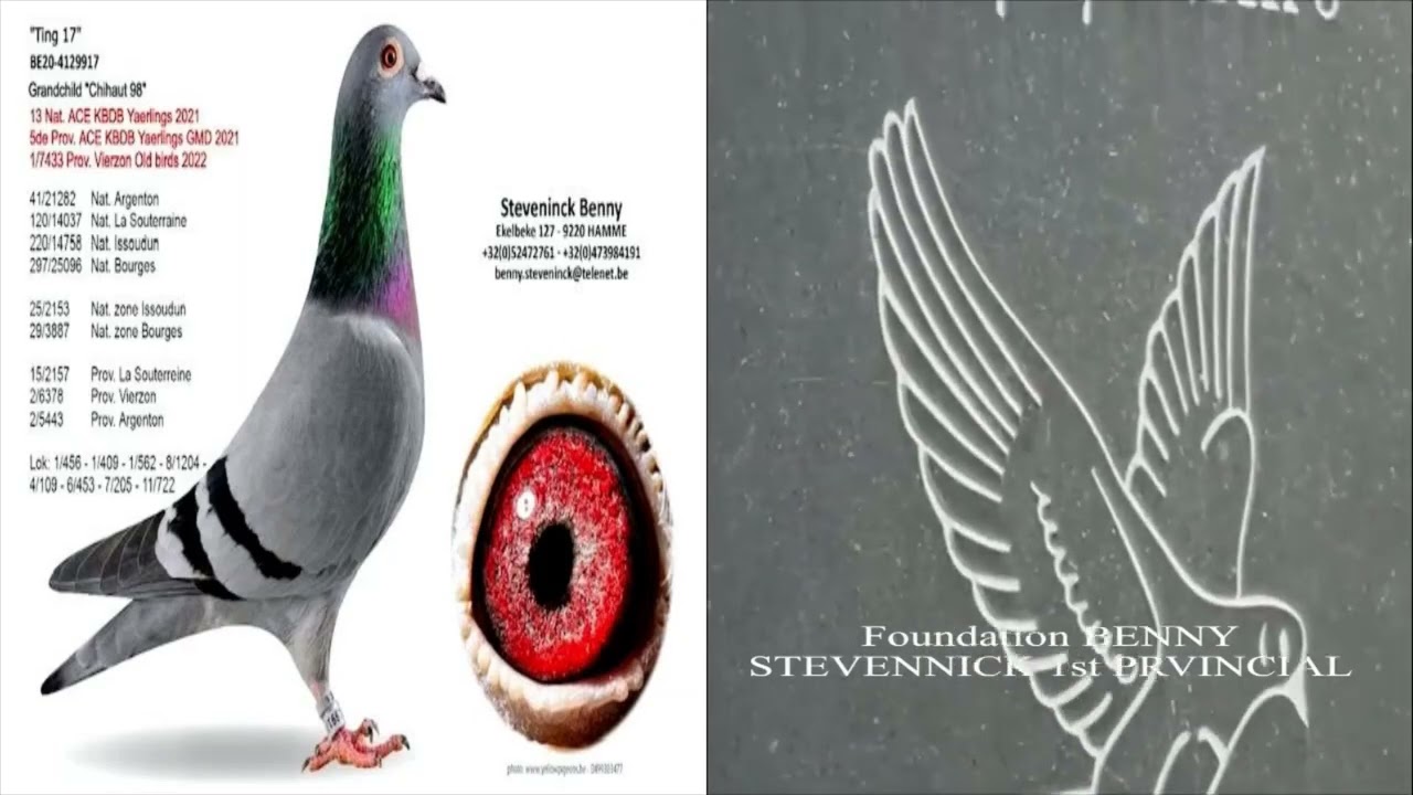 BENNY STEVENNICK 1st PROVINCIAL ACE Foundation LINE