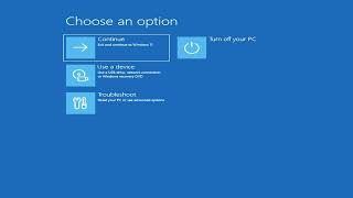 Windows Recovery Environment (WinRE) Menu