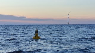 Aanderaa MOTUS wave buoys deployment