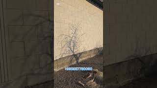 Термо Травертин Махсулотидан Яна Бир Битган Фасад