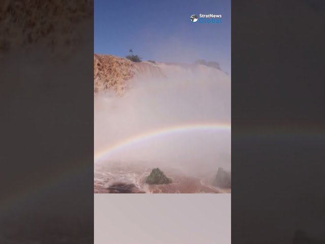 #Brazil: Iguazu Falls swells with water after rains | #flood #floods #rain #shorts #iguazufalls