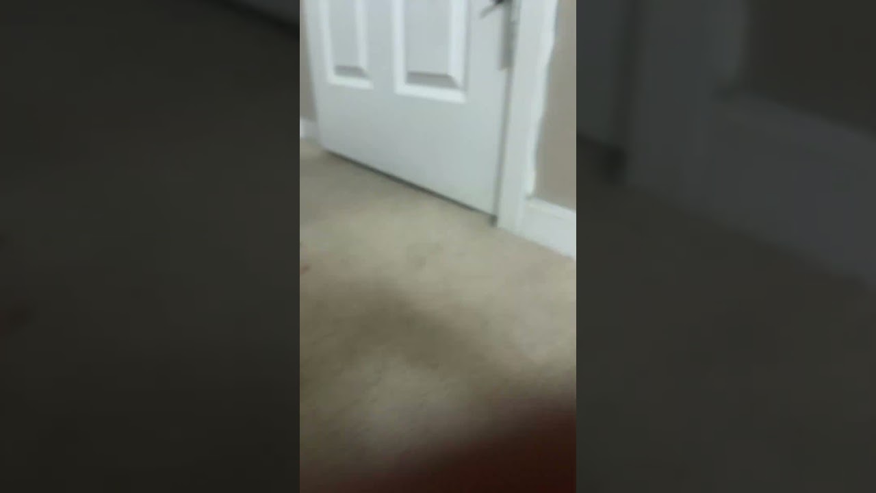 Better loop than last time