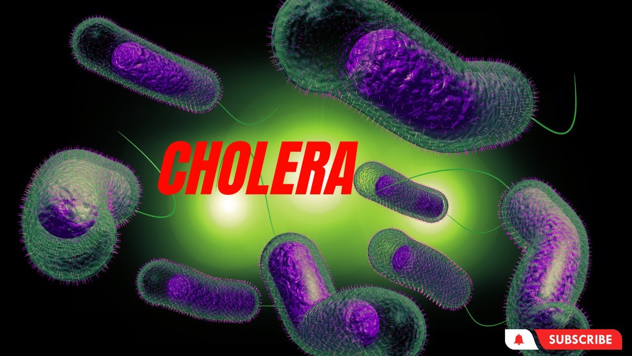 Guarding Against Cholera 10 Essential Measures for Prevention and